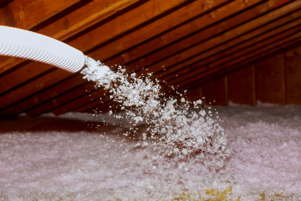 Best Insulation Repair Services  in Newark, IL