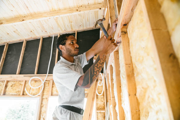 Best Local Insulation Services  in Newark, IL
